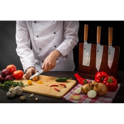 Zestaw noży kuchennych Kamazaki KZI003SET 4 szt. ze stojakiem