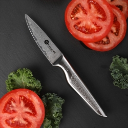 Nóż do obierania Kamazaki Pairing Knife KZI501KN, ostrze 9 cm – stal damasceńska z rdzeniem VG-10