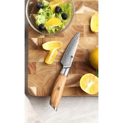Nóż do obierania Kamazaki Paring Knife KZ40KN, 9 cm – stal damasceńska