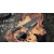 Nóż Gyuto Suncraft Senzo Dawn Limited Edition LE23-C 200 mm